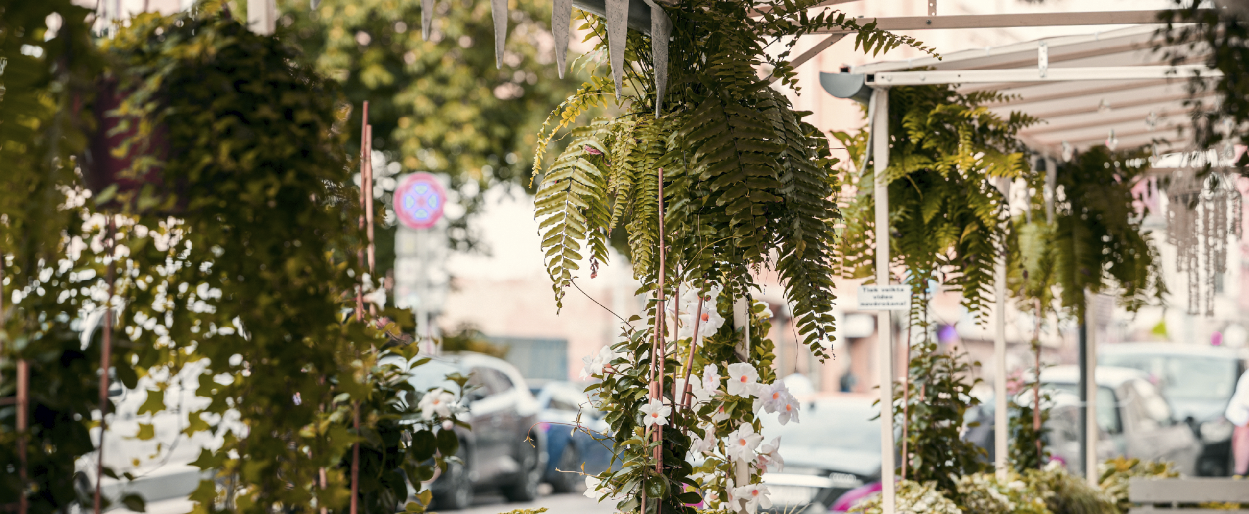 Kafejnīcas CENTRUS tuvumā piedāvā eklērus, kruasānus, kafiju un patīkamu atmosfēru draugu kompānijā Rīgas centrā.